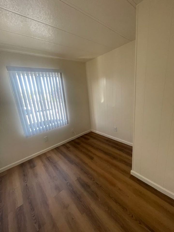 Thunderbird - Photo 4 of 42