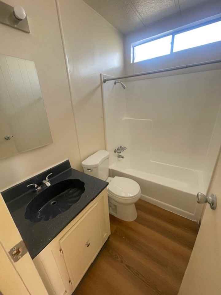 Thunderbird - Photo 5 of 42