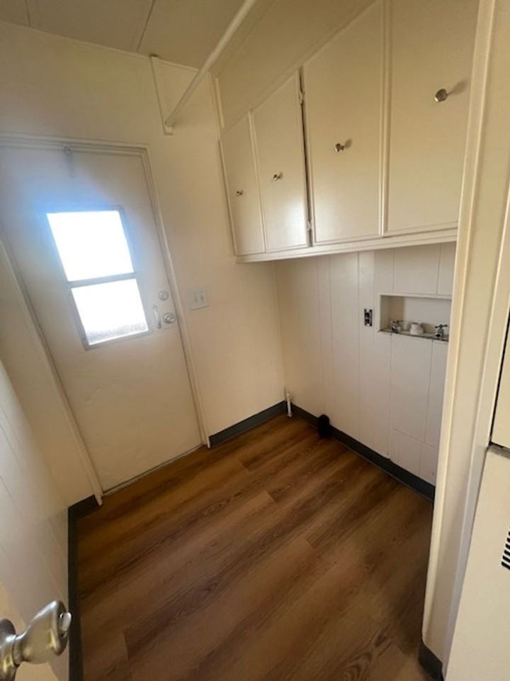 Thunderbird - Photo 6 of 42