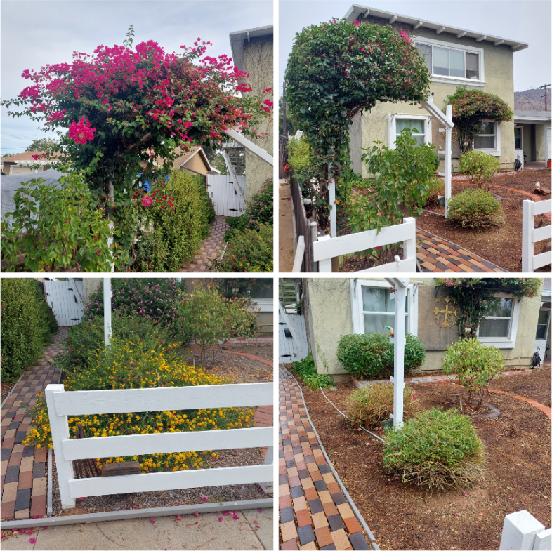 876 Adele St - Photo 3 of 21