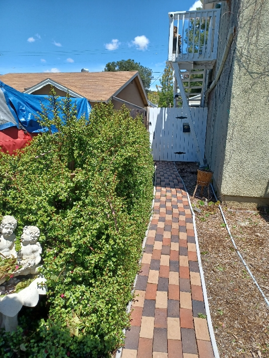 876 Adele St - Photo 4 of 21