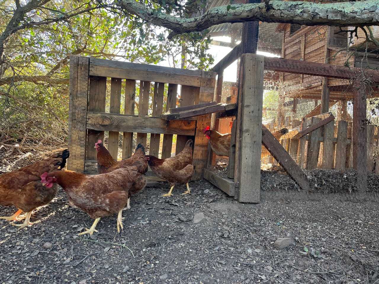 5110 Winthrop St - Photo 3 of 21