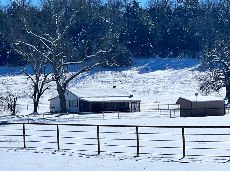 14720 Walnut Grove Rd - Photo 3 of 22