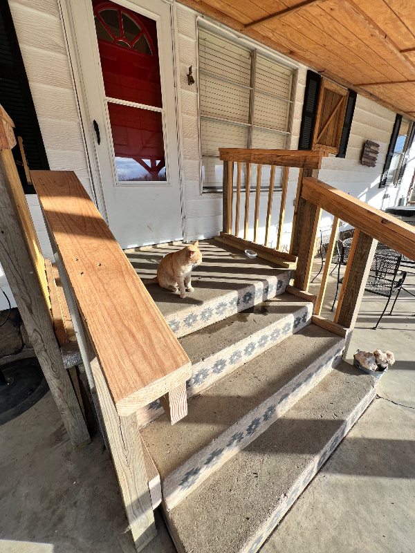 14720 Walnut Grove Rd - Photo 4 of 22