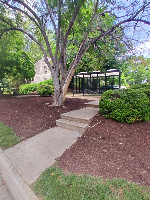 600 Reusens Rd #I94 - Photo 5 of 10