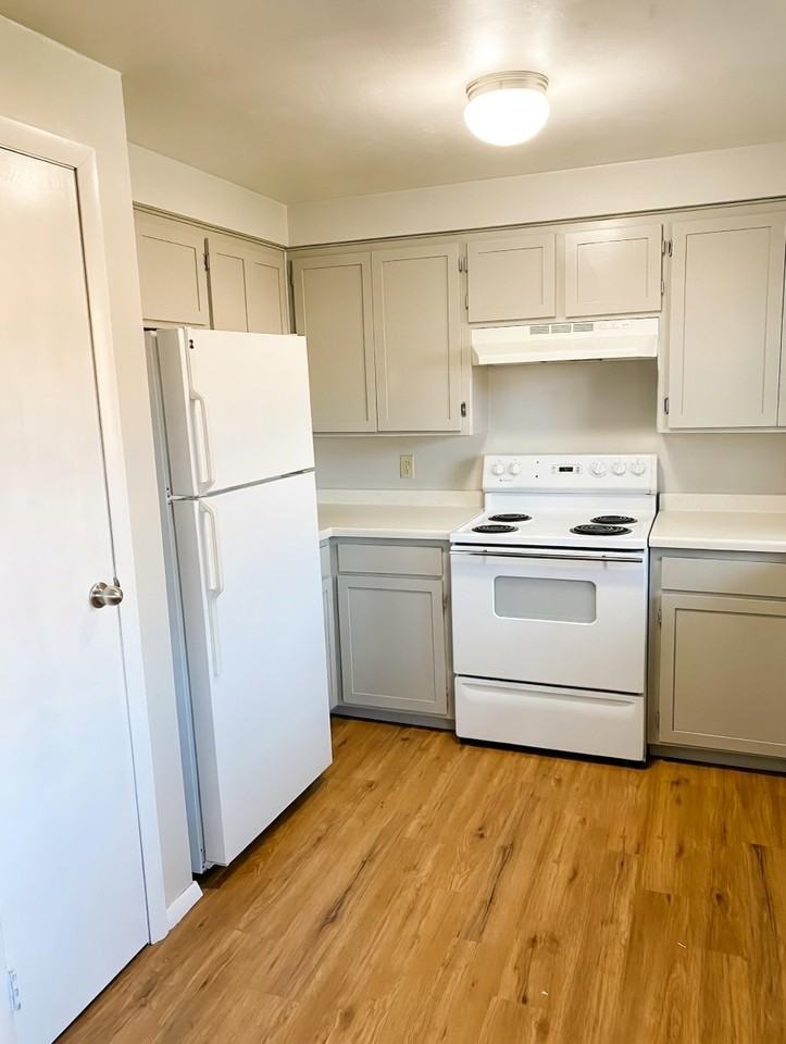 1619 Beech Tree Dr #1619 - Photo 4 of 10