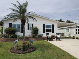 featured image of 215 Tiger Lilly Dr