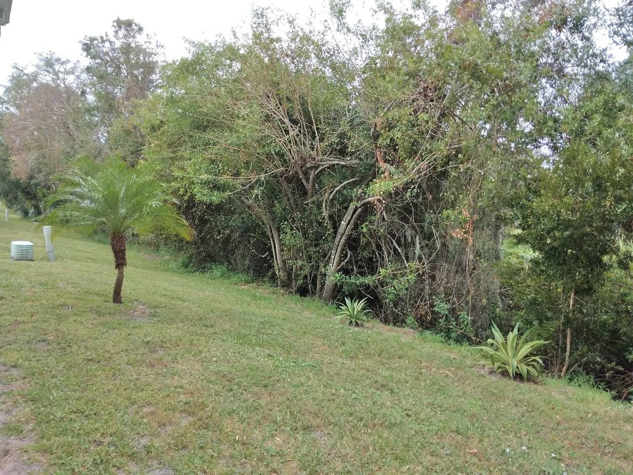 215 Tiger Lilly Dr - Photo 6 of 20