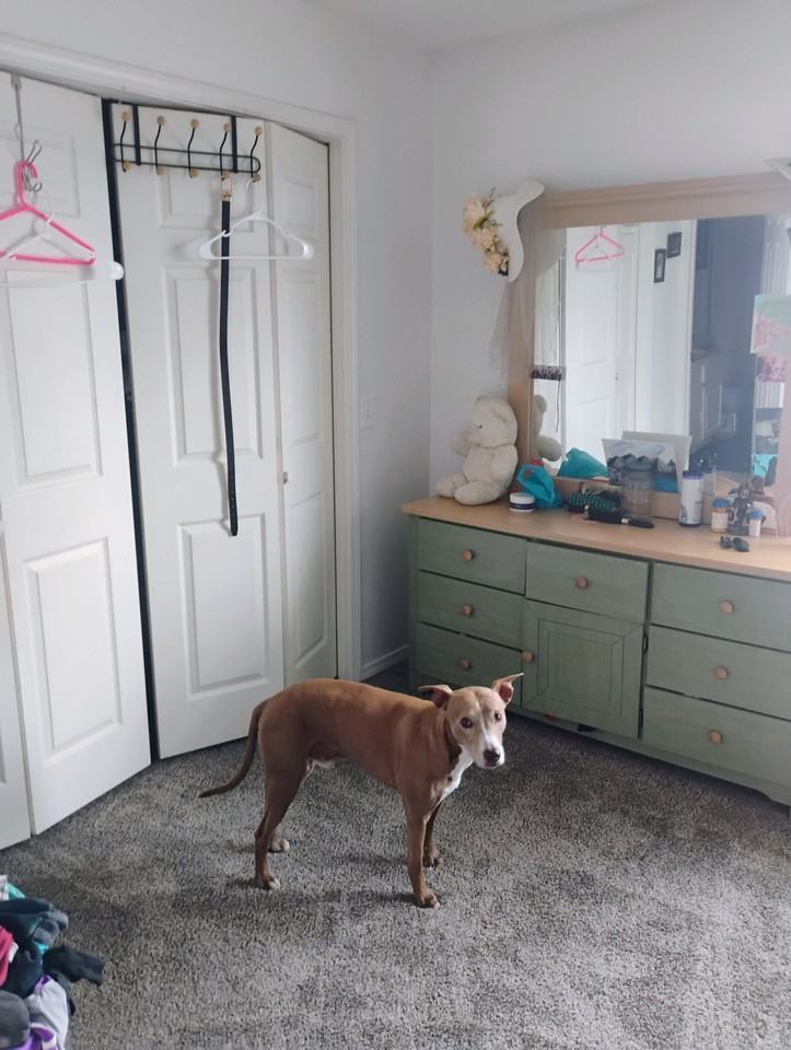 2009 S 11th St - Photo 3 of 12