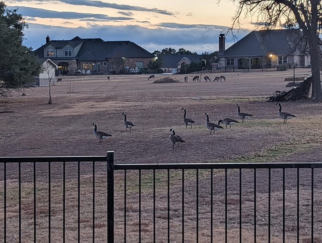 1726 Bent Tree Ct #NA - Photo 4 of 19