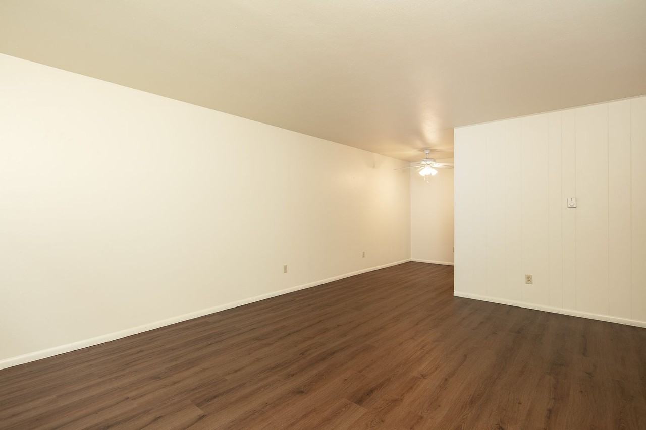 Avante Apartments - Photo 4 of 19