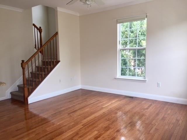 15 Alexander Ct - Photo 4 of 13