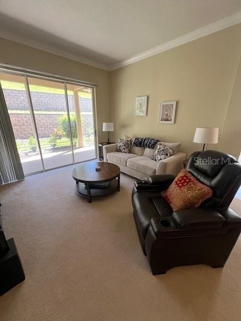 2427 Caledonian St - Photo 6 of 50