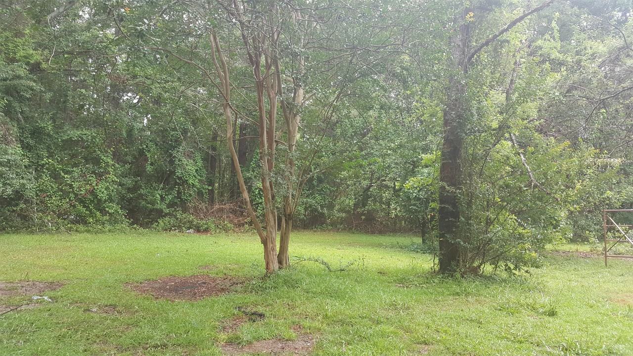 1207 Hampton Rd #1 - Photo 3 of 4