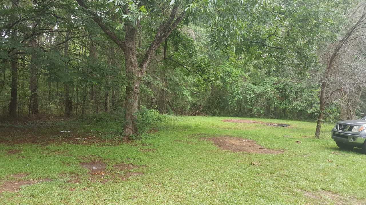 1207 Hampton Rd #1 - Photo 4 of 4