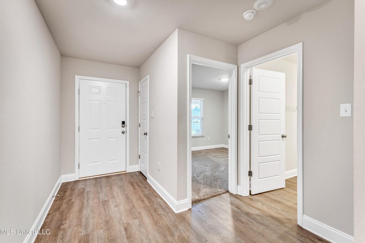 10246 Orchid Magnolia Dr - Photo 5 of 32