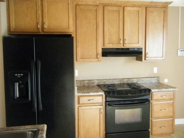 4625 Pigeon Oaks Dr - Photo 4 of 12