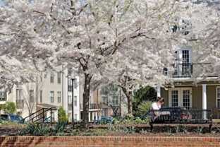 735 Walker Sq - Photo 1 of 1