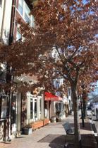 809-809 809-809 1/2 King St & 103 1/2 N. Alfred Street - Photo 1 of 1