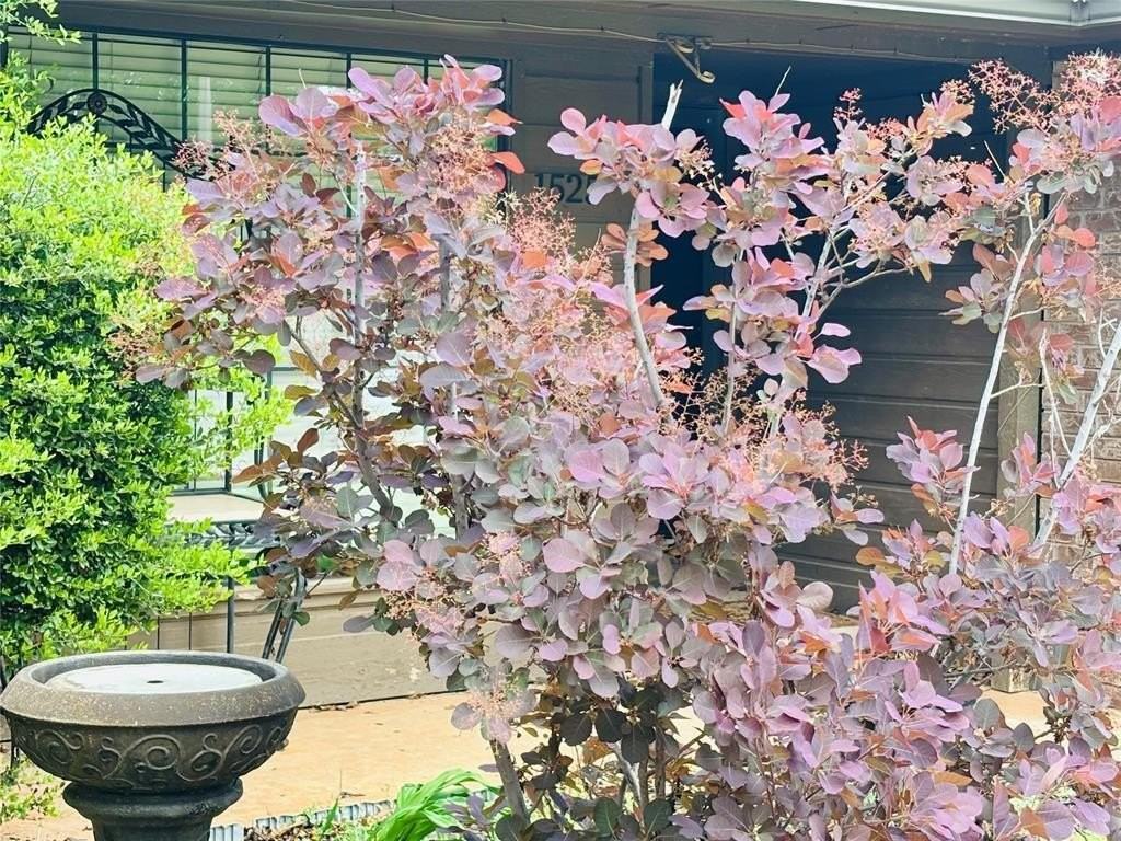 1525 Davinbrook Dr - Photo 2 of 3