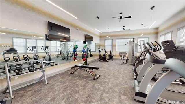 4000 Insignia Ln #4 - Photo 4 of 15