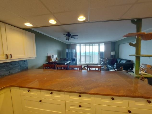 New Price & Utilities INCLUDED! Checkmate Court - Photo 5 of 22