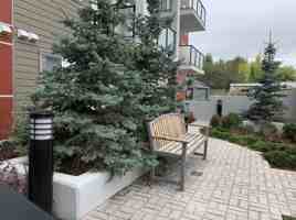 featured image of 851 17 Ave Nw