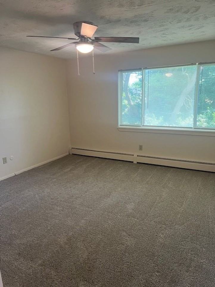 Rainforest Village - Photo 7 of 50