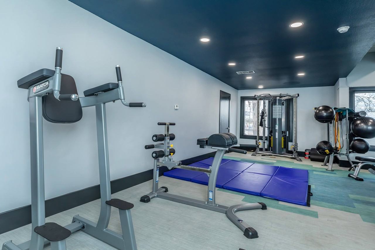 Starburst - Photo 6 of 31