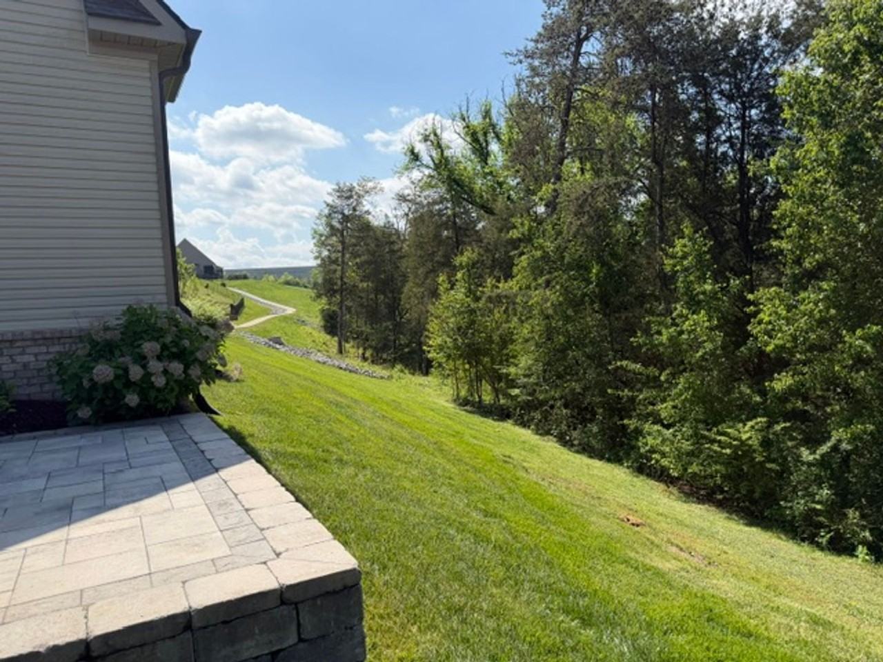 10137 Songbird Ln - Photo 5 of 30