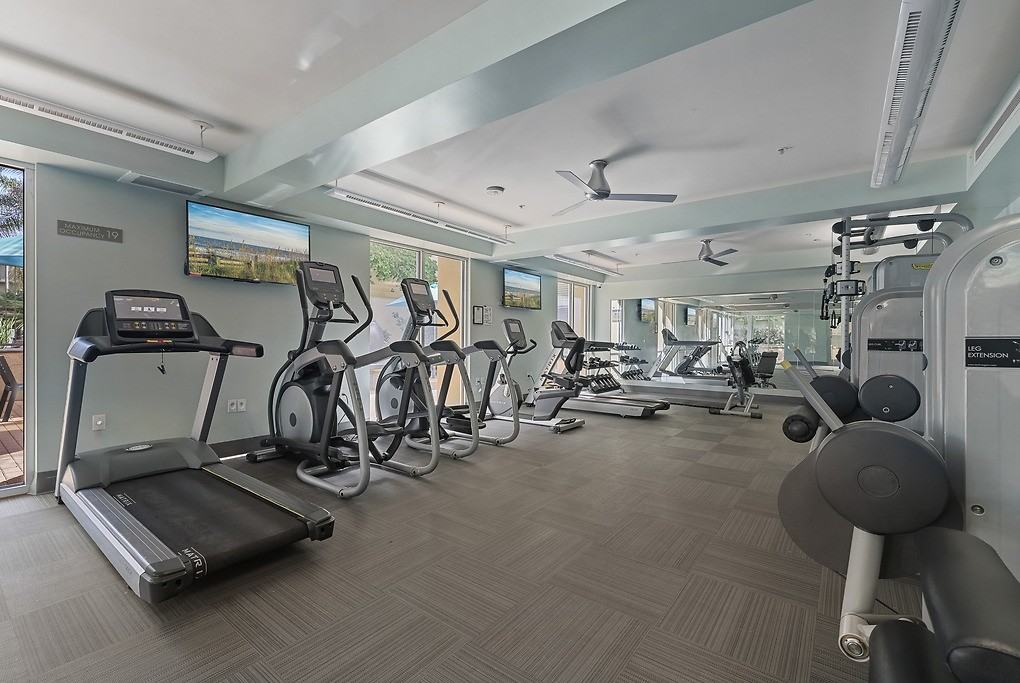 Enso - Photo 4 of 44