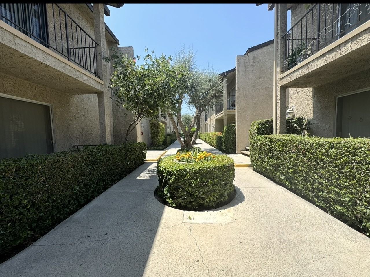 24851 Walnut Street #114 - Photo 5 of 20