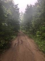 Lot J Primrose And Bee Run Creek #NA - Photo 1 of 1