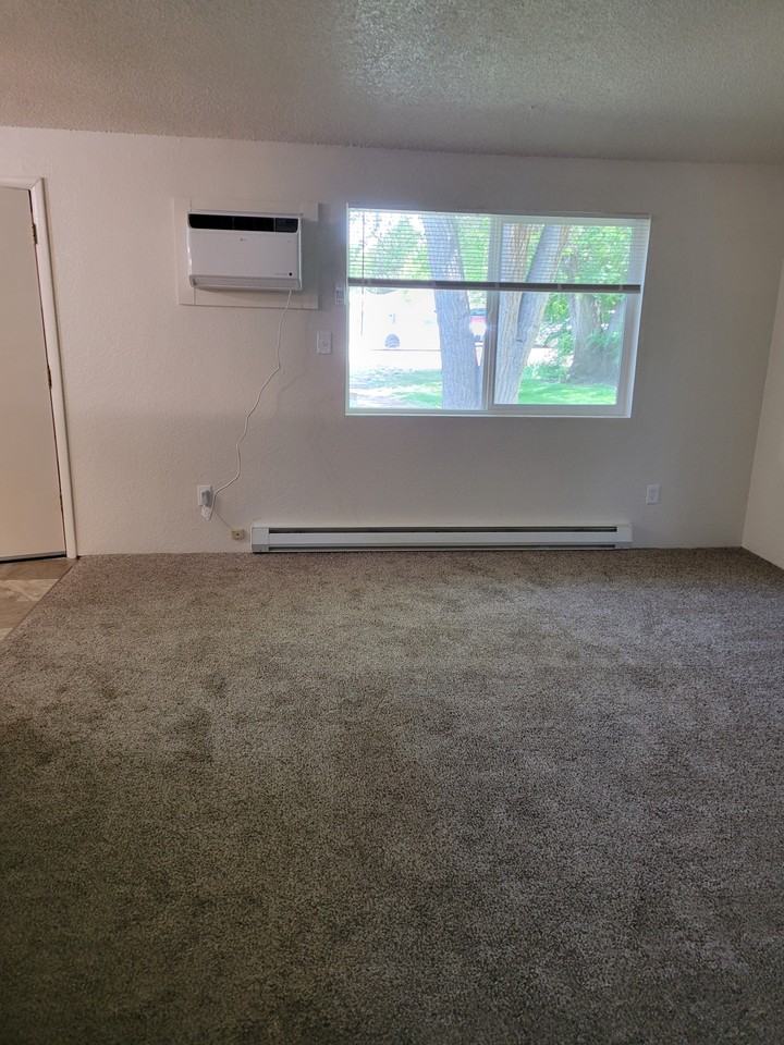 1107 S Ivy St - Photo 5 of 9