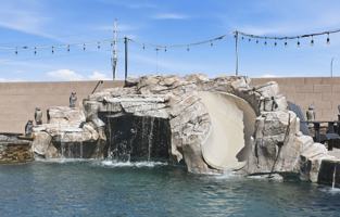 featured image of 3922 Jacob Lake Cir #NA