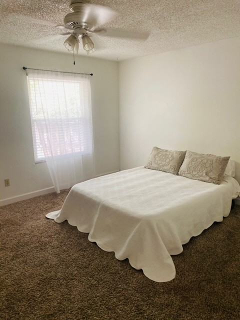 828 Olive St #3 - Photo 2 of 5