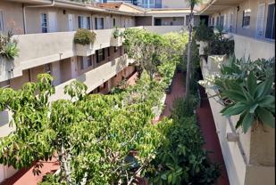 4225 Inglewood Blvd #203 - Photo 1 of 1