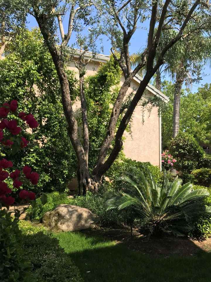 10379 N Pierpont Cir #NA - Photo 5 of 19