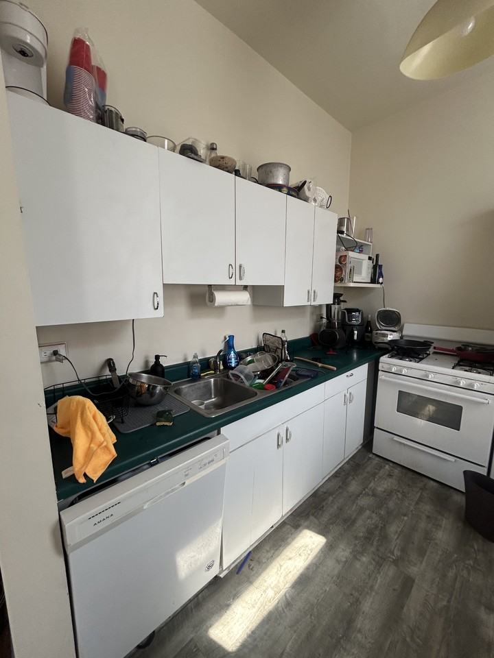 1048 N Marshfield Ave #2R - Photo 4 of 14