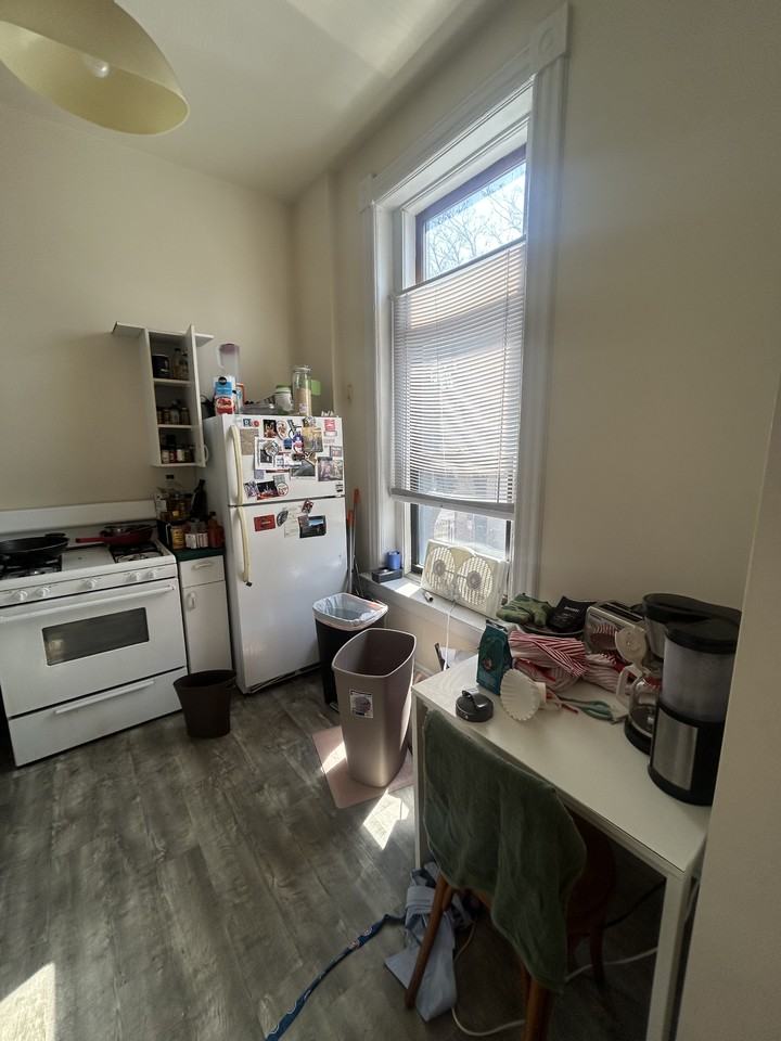 1048 N Marshfield Ave #2R - Photo 5 of 14