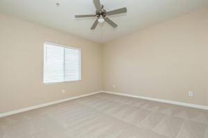 featured image of 37600 College Dr
