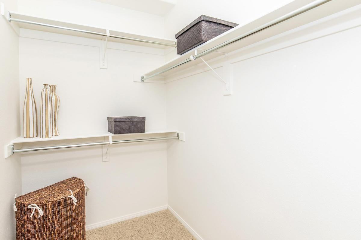 7550 Desert Holly St - Photo 3 of 17