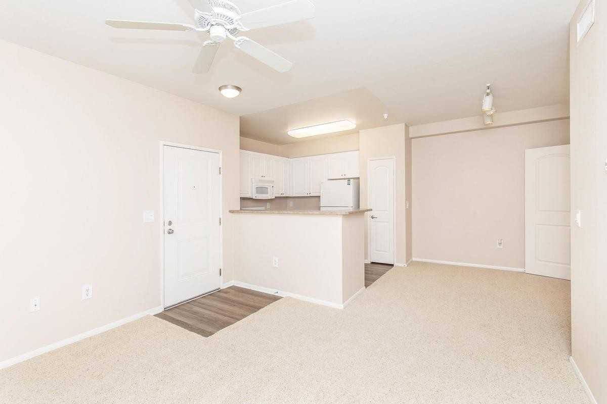 7550 Desert Holly St - Photo 3 of 50