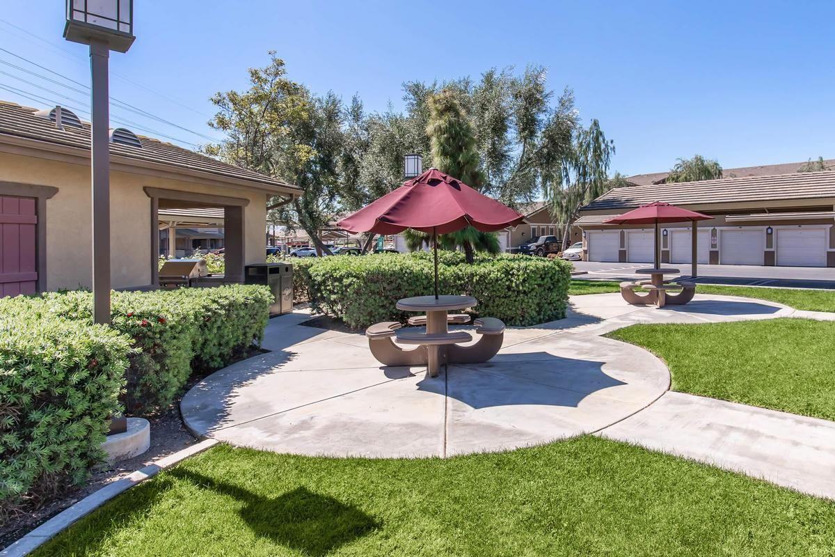 7550 Desert Holly St - Photo 4 of 50
