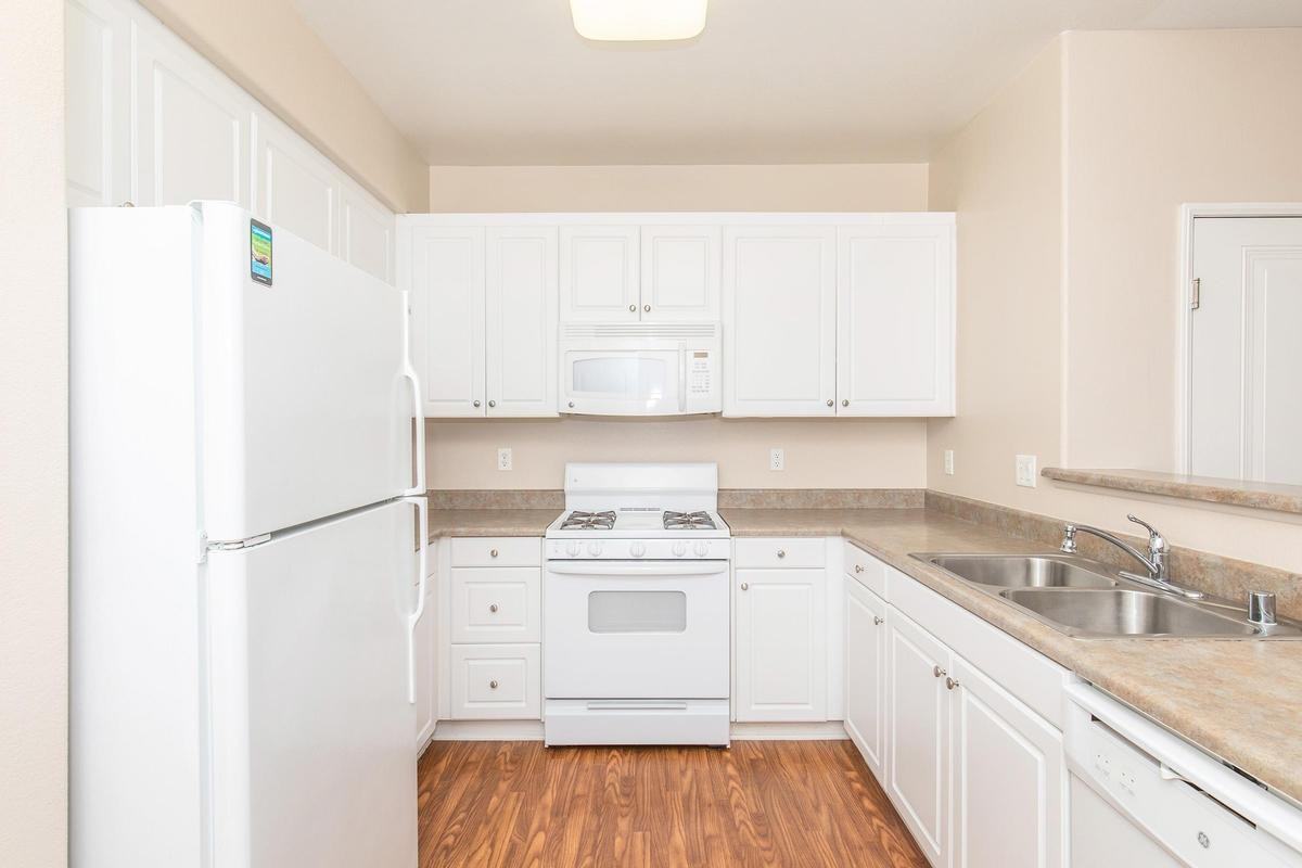 7550 Desert Holly St - Photo 5 of 50