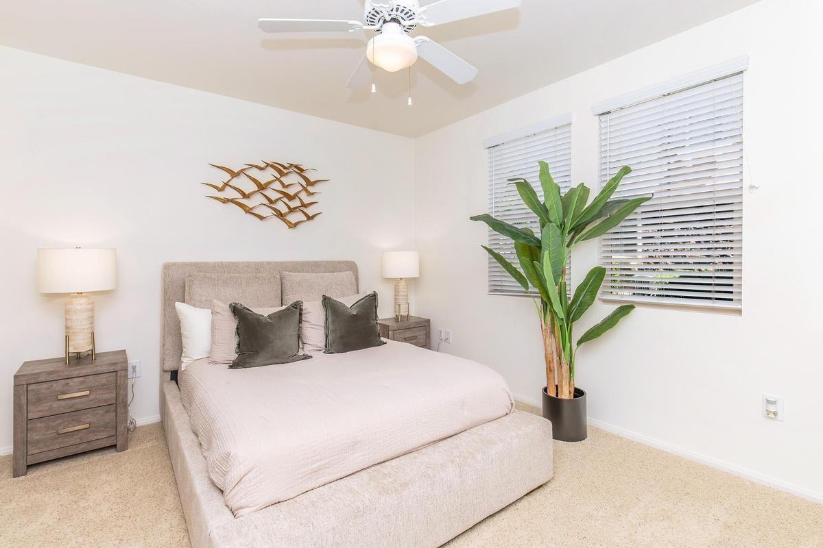 7550 Desert Holly St - Photo 6 of 17
