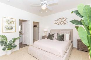 7550 Desert Holly St - Photo 1 of 1