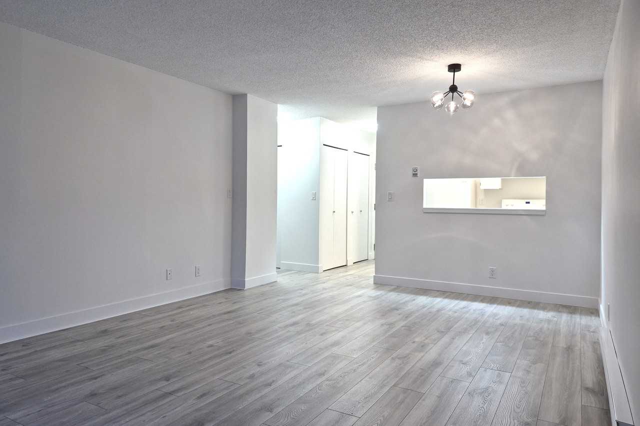 3760 Albert Street #105 - Photo 7 of 19