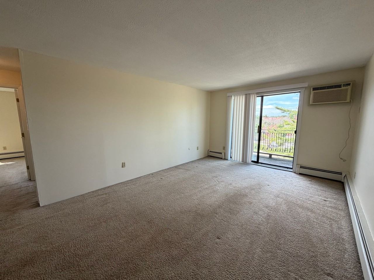 134 Mammoth Rd #29 - Photo 4 of 12
