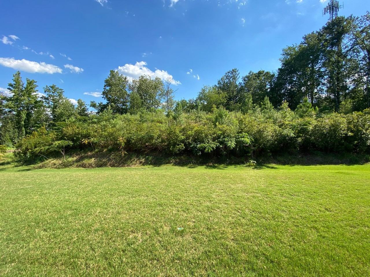 4954 Ridge Pass - Photo 5 of 7